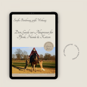 Kleiner Akupressur Guide