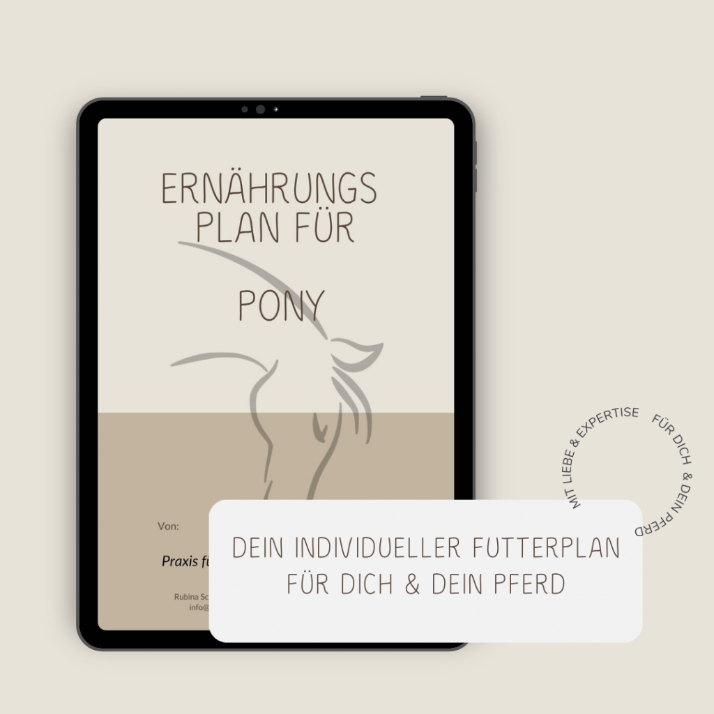 Futterberatung für dich & dein Pferd