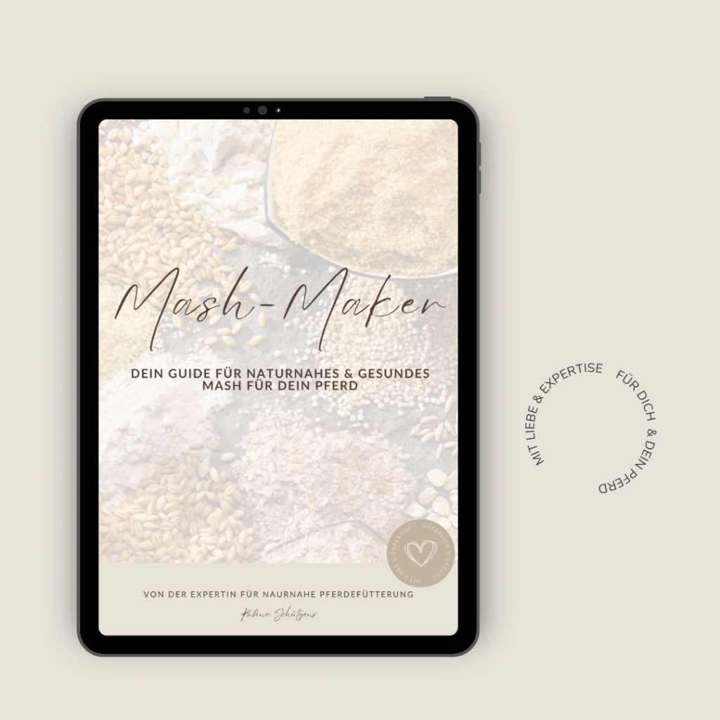 Mash Maker – Dein Guide für individuelles Pferde-Mash 