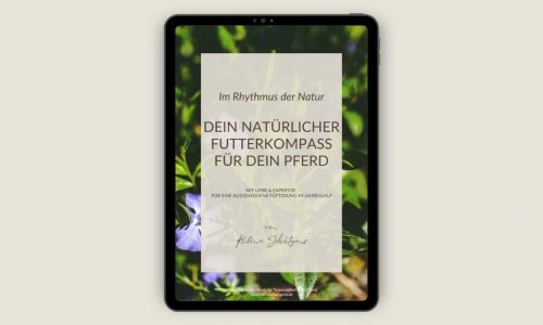 Kursvorschaubild